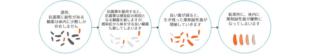 通常、抗菌薬に耐性がある細菌は体内に少数しか存在しません。 -	抗菌薬を服用すると、抗菌薬は感染症のの原因となる細菌を殺しますが、感染症から体を守る良い細菌も殺してしまいます。 -	良い菌が減ると、生き残った薬剤耐性菌が増殖していきます。 -	結果的に、体内に薬剤耐性菌が優勢になってしまいます。