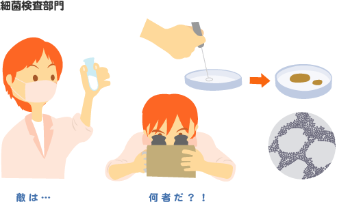 イラスト：細菌検査部門のイメージ