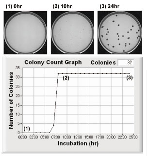 図13　E. coli 検出・計数（2）安定値　（3）確定値