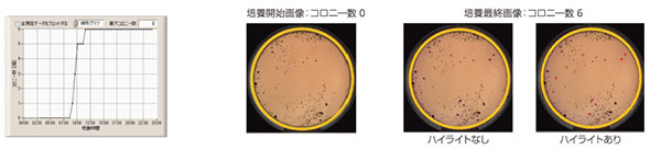 図1 増殖曲線と培養画像：バタークッキー＋<i>E. coli</i>（10<sup>0</sup>オーダー）をDESOにて培養（重層法）