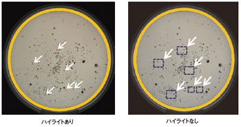 図4 コロニー検出開始時間（8.5時間）：コロニー数６