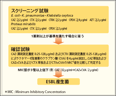 図4　ESBLの検査法（CLSI法）