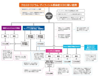 クロストリジウム・ディフィシル感染症（CDI）疑い症例